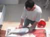 john_cleaningbigfish_small.jpg