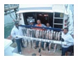 2012 family catch group of 5